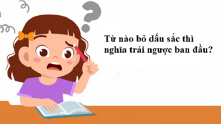 MXH tranh cãi: Từ Tiếng Việt nào bỏ dấu sắc thì nghĩa trái ngược ban đầu, IQ vô cực cũng ‘sai bét’