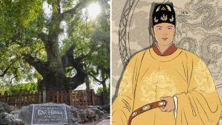 Cây dã hương nghìn năm tuổi ở Bắc Giang được vua Lê sắc phong, là báu vật độc nhất của cả thế giới