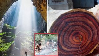 Tộc người bí ẩn của Việt Nam sở hữu rừng gỗ sưa trăm tỷ, 20 năm không bán một cây nào