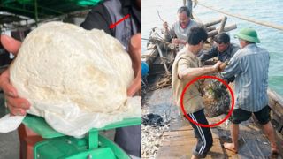 Ngư dân Huế vớt được 'cục đá' 3kg nghi là vật báu có giá tiền tỷ cả thế giới săn lùng: Mùi thơm ngào ngạt hiếm có