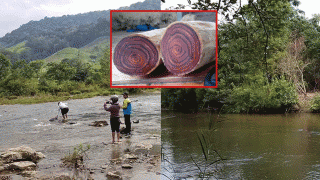 1 người dân ở Gia Lai từng nhặt được khúc gỗ quý hàng đầu Việt Nam: Dài 8m, bán 600 triệu nhưng giá trị thực 5,9 tỷ đồng
