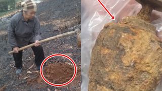 Bà cô làm vườn, cuốc lên được cục sắt cứ nghĩ là cổ vật đắt giá, con trai gọi cảnh sát mới biết là vũ khí cực nguy hiểm