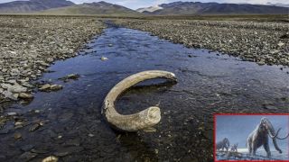 Bé gái phát hiện 'báu vật' 100.000 năm tuổi dưới sông khi đi câu cá cùng bố, giá trị không thể đong đếm