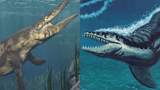 Lộ diện quái vật đại dương hung dữ kinh hoàng, săn mồi 'nhanh như chớp' 80 triệu năm trước