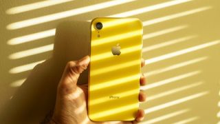 iPhone XR chốt giá bèo trên thị trường, chỉ 4.5 triệu đồng vẫn ngon nghẻ, chụp đẹp như Galaxy S21 FE