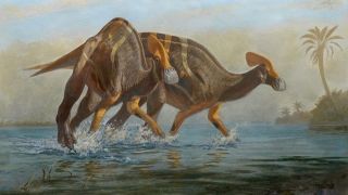Phát hiện hóa thạch của loài khủng long đã tuyệt chủng 72 triệu năm: Biết ‘nói chuyện’ giống voi ngày nay