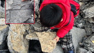 Đi leo núi và chơi đào kho báu cùng cha, bé trai 5 tuổi hét lớn khi tìm thấy hóa thạch 500 triệu năm