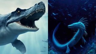 Lộ diện quái thú 'rồng xanh' bơi lang thang trên Thái Bình Dương 72 triệu năm trước 