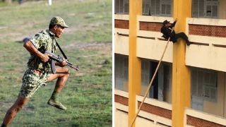 Kỹ thuật leo tường chỉ đặc công Việt Nam mới có được truyền hình Nhật Bản xếp top 4  kỹ thuật xuất sắc nhất thế giới