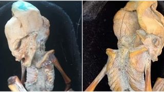 Phát hiện xác ướp bào thai có hình dạng kì lạ: Người ngoài hành tinh hay 1 thứ gì khác?