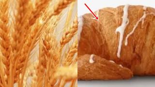 Trung Quốc đã trồng lúa mì hàng nghìn năm, vậy tại sao lại không phát minh ra bánh mì?