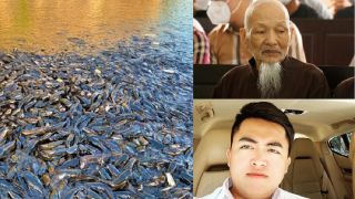 Bí ẩn hồ cá trê ở Tịnh thất Bồng Lai, đồ đệ Lê Tùng Vân từng tiết lộ sự thật rùng rợn đằng sau