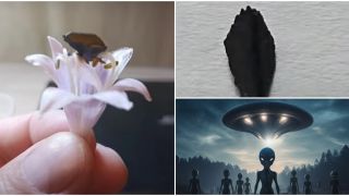 Bí mật về mảnh vỡ UFO của người ngoài hành tinh bị đánh cắp, nhẹ hơn cả cánh hoa, có ánh vàng