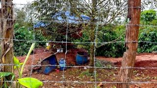 Nguyên nhân 2 thợ đào giếng chết trong rẫy cà phê ở Gia Lai