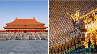 Tại sao chim không thể ‘bén mảng’ đến Tử Cấm Thành? Không phải mê tín mà có cơ sở khoa học!