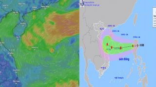 Cơn bão số 4 hình thành, người dân Việt Nam cần lưu ý những điều này để tránh thiệt hại