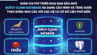 Giảm chi phí triển khai ban đầu và đáp ứng truy cập cao nhờ Bizfly Cloud Database