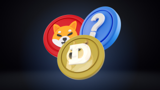 Meme Coin Là Gì? Có Nên Đầu Tư Vào Các Dự Án Meme Coin?
