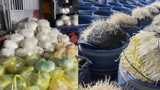 Rùng mình với cảnh bên trong nơi sản xuất hàng trăm tấn giá đỗ bằng chất cấm có thể gây chết người