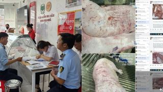 C.P Việt Nam chính thức lên tiếng, khẳng định sự trong sạch sau khi bị tố bán heo chết, gà bệnh ra thị trường