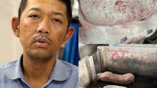 Người tố cáo C.P Việt Nam 'tuồn' heo bẩn hỏi 'gắt': Sao hôm trước nói tôi bịa đặt, giờ lại nhận?