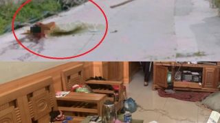 Vụ chồng bắn chết vợ rồi tự tử ở Quảng Ninh: Công an tiết lộ chi tiết đáng thương hơn đáng trách 