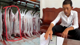 Ông Liễu Quý Ngân tiết lộ sốc vụ heo bệnh, công khai danh tính người lạ mặt đến nhà đòi livestream