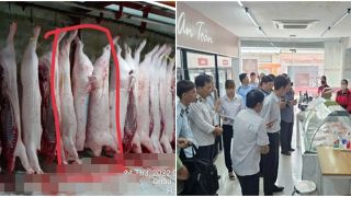 Công ty C.P Việt Nam nói gì sau khi có kết quả điều tra vụ tố bán heo bệnh ra thị trường?