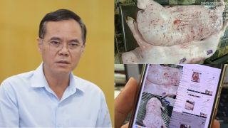 Lộ diện người đóng dấu kiểm dịch sai với heo bệnh Công ty C.P, bất ngờ lời khai và hình thức xử lý