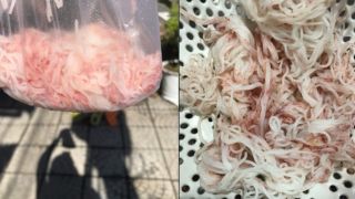 Lãnh đạo TP Đà Nẵng thông tin nóng loạt bún đổi màu từ trắng sang đỏ, tạm dừng 1 cơ sản xuất bún
