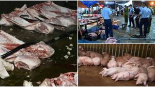 Mua lợn bệnh chết giá 20.000 đồng, bán giá cao gấp nhiều lần, lời khai kinh hoàng của các đối tượng giết mổ