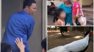 Diễn biến mới nhất vụ lĩnh 6 năm tù vì buôn gà lôi trắng: Gia đình làm đơn xin giảm nhẹ hình phạt 