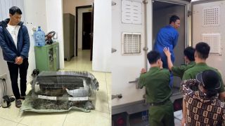 Quy định mới về gà lôi trắng thuộc danh mục nguy cấp: Bản án 6 năm tù vì nhân giống có quá cao?