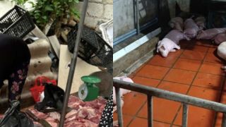 Hưng Yên: Dịch tả lợn châu Phi lan rộng, người dân thận trọng khi mua thịt