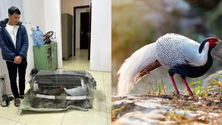 Tin vui đến với anh Thái Khắc Thành, có thể được miễn trách nhiệm hình sự nhờ 1 chi tiết bước ngoặt