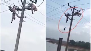 Clip cận cảnh 2 công nhân bị điện giật lúc đang làm việc ở Hà Nội: 1 tử vong, 1 đang rất nguy kịch