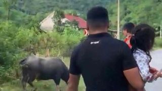 Trâu điên đoạt mạng bé gái 4 tuổi ở Nghệ An, xót xa trước hoàn cảnh gia đình thương tâm