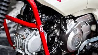 Honda chính thức mở bán ‘vua xe số’ 125cc mới đẹp át vía Wave Alpha và Future, có phanh ABS, giá rẻ