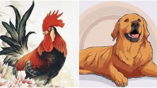 Từ ngày 28/9, 4 con giáp sau sẽ gặp nhiều may mắn, có nhiều cơ hội mới, sự nghiệp suôn sẻ