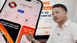 Loạt thông tin ít ai biết về Cổng thanh toán Ngân Lượng của Shark Bình: Vốn điều lệ từ 369 tỷ xuống 52 tỷ