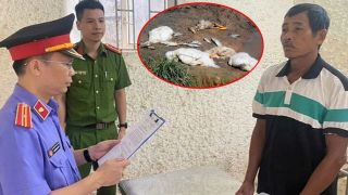 Khởi tố, bắt tạm giam người đàn ông đâm hàng xóm vì nghi ngờ đầu độc 3 con vịt, đối diện án phạt nghiêm khắc