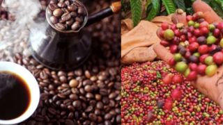 Giá cà phê hôm nay 17/10: cà phê 17/10: Giá nội địa tiếp tục bứt phá, Robusta lập đỉnh mới trong tháng
