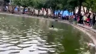Công an thông tin nóng về vụ việc cô gái tử vong ở hồ Hoàn Kiếm trước sự chứng kiến của nhiều người
