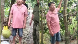 Hé lộ lý do khởi tố đối tượng trộm 2 quả mít trị giá 387 ngàn đồng