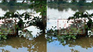 Vụ phát hiện thi thể cô gái 17 tuổi mắc trên cành cây: Xé lòng khi biết nguyên nhân tử vong