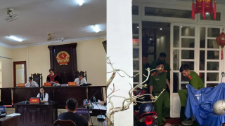 Kết cục của nữ đại gia thủy sản Cà Mau