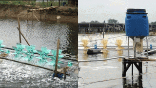 Vụ vợ bàng hoàng khi phát hiện chồng và con tử vong dưới ao nuôi tôm, hé lộ nguyên nhân ban đầu?