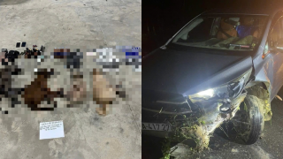 TPHCM: Bức xúc nhóm trộm chó bỏ ô tô để thoát thân, công an tiết lộ một tang chứng bất ngờ