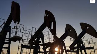 Cập nhật giá xăng dầu hôm nay 12/11: Giảm khi thị trường Mỹ mở cửa trở lại