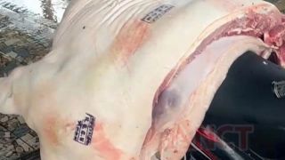 Danh tính 3 cán bộ bị khởi tố, bắt tạm giam vì đóng dấu kiểm dịch thịt heo nhiễm dịch tả châu Phi 